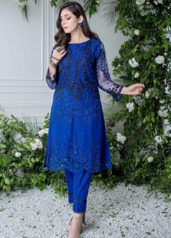 Zainab Chottani Unstitch Embroidered Net Stuff 2022