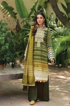 Rajbari summer collection