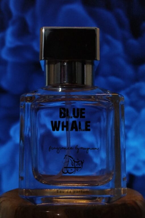 Blue whale is inspired by Blue D Channel